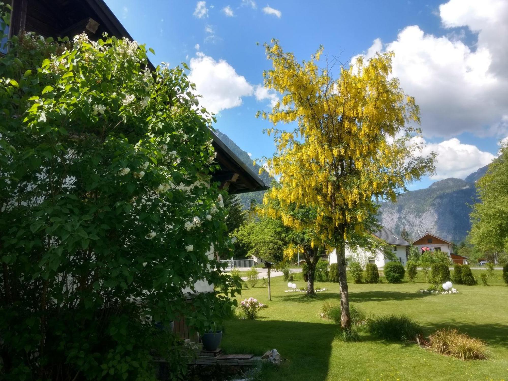 شقة Haus Alpenblick اوبرترون المظهر الخارجي الصورة
