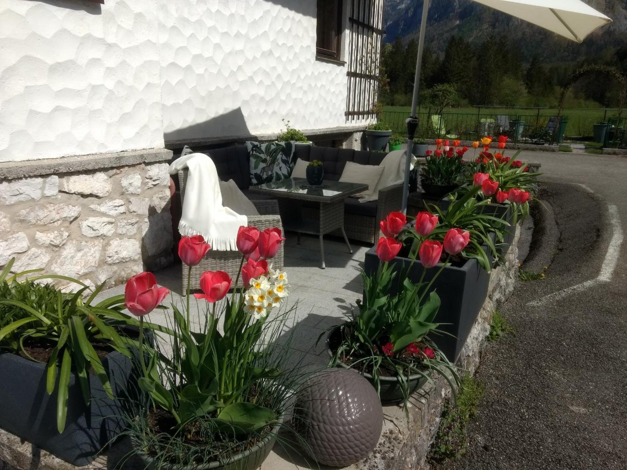 شقة Haus Alpenblick اوبرترون المظهر الخارجي الصورة